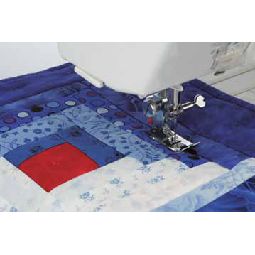 Ditchfot (grupp 2, 3)